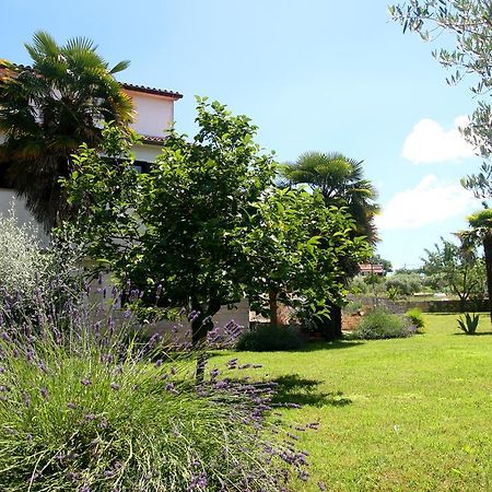 Korsa Apartment Sveti Lovreč Pazenatički Dış mekan fotoğraf