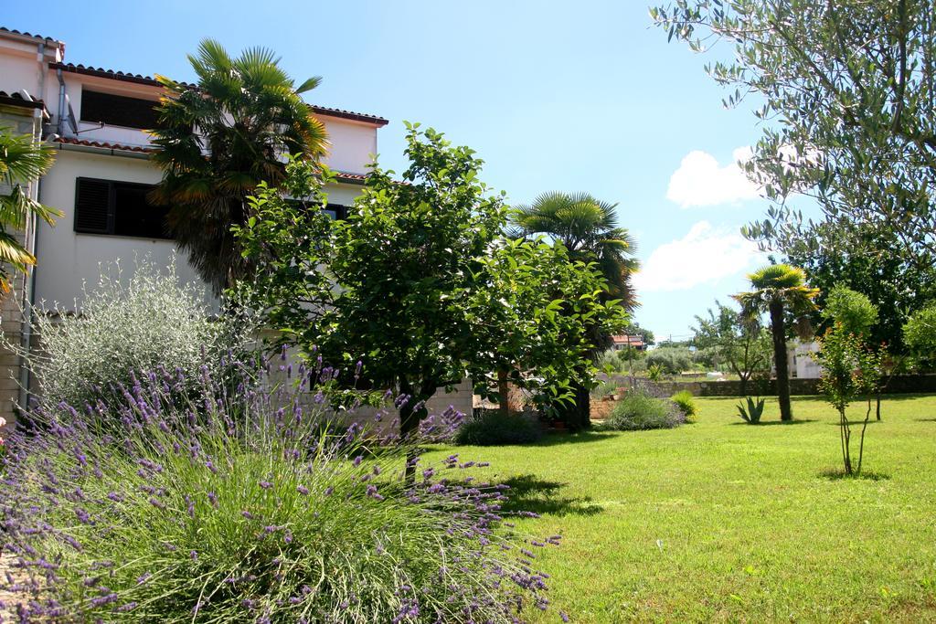 Korsa Apartment Sveti Lovreč Pazenatički Dış mekan fotoğraf